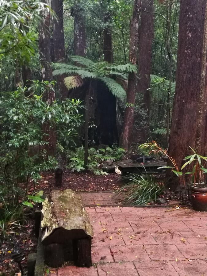 Springbrook Storybook Exterior foto